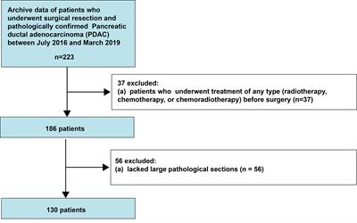 Tumor Budding Score Is a Strong and Independent Prognostic Factor in Patients With Pancreatic Ductal Adenocarcinoma: An Evaluation of Whole Slide Pathology Images of Large Sections